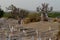 Muslim and Christian graveyard in Joal-Fadiouth, Petite CÃ´te, Senegal
