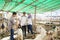 Muslim couple at animal trade farm buying a goat