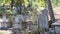 Muslim graves in a cemetery in Istanbul, Turkey