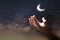 Muslim hand man pray in dark with moon sky background, Male worship to god with faith and belief in black, Arab muslim male person