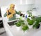 Muslim housewife at home watering plants