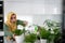 Muslim housewife at home watering the plants