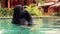 Muslim mother with child in swimming pool.