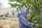 Muslim Mother and Daughter Harvesting Fruit at Home Garden