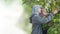 Muslim Mother and Daughter Harvesting Fruit at Home Garden