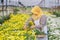 Muslim people and chrysanthemum collection in garden
