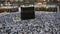 Muslim pilgrims prostrate during evening prayer facing the black stone or Kaaba in Mecca, Saudi Arabia.