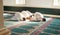 Muslim, prayer and mosque with a holy man group praying together for fajr, dhuhr or asr, otherwise maghrib or ishaa