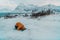 A Muslim traveling through arctic cold regions while performing the Muslim prayer namaz during breaks