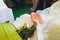 Muslim wedding rite. Bride and groom sitting on the floor in the moqsue. Muslim Wedding prayers. Nikah.