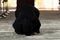 Muslim woman in a black dress with hijab praying in a mosque.