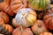 \\\'Musque de Provence\\\' pumpkins