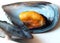 Mussel closeup