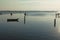 Mussel cultivation, boats at Scardovari lagoon, Po& x27; river delta,