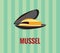 Mussel - drawing on green background.