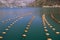 Mussel farm, rope culture. Montenegro, Kotor Bay