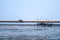 Mussel farm in sea along the mangrove forest