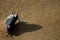 Mussel shell on sandy beach