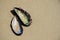 Mussel Shells on Sand at Beach