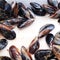 The mussel in the sink is ready to be cooked. Plate of mussels. Mussel shells lie on a plate close-up