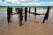 Mussels beds with golden sand and sea, sustainable aquaculture.