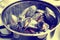 Mussels cooked with creamy sauce in pot, toned