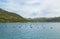 Mussels farming, Mediterranean Sea