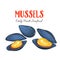 Mussels vector illustration in cartoon style.