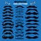 Mustache collection 12