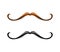 Mustache illustration. Vector brown and black mustaches