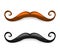 Mustache illustration. Vector brown and black mustaches