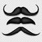 Mustache Isolated Vector. Black Vintage Moustache. Retro Collection Isolated On Transparent Background Illustration