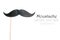 Mustache paper on a stick isolated