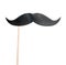 Mustache paper on a stick isolated on white