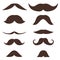 Mustache, set of male brown mustache isolated on white. Vector mustache illustration in flat design