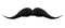 Mustaches for barbershop or Mustache Carnival. Detailed vintage black victorian mustache isolated on white