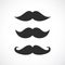 Mustaches vector icon