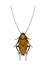 Mustachioed cockroach. Colored vector illustration in cartoon style on a white background.