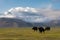 Mustagh Ata Mountain at Karakul Lake in Pamir Mountains, Akto County, Kizilsu Kirghiz Autonomous Prefecture, Xinjiang, China.