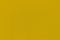 Mustard color homogeneous background with a textured surface