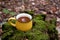 Mustard-colored cup with herbal tea in the forest on a stump and moss. calm time of relaxation in nature