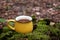 Mustard-colored cup with herbal tea in the forest on a stump and moss. calm time of relaxation in nature