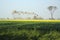 Mustard farming in Uttar Pradesh india