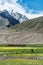 Mustard field with mountain background,