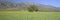 Mustard in green field and Topa Topa Bluffs, in Upper Ojai Valley, California