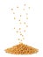 Mustard seeds fall on a heap on a white background. Isolated