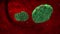 Mutating blood cell. AIDS. Blood cancer oncology, leukemia. 3D animation