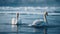 Mute swan couple experience pure beauty together generated by AI