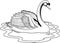 Mute Swan Illustration