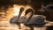 Mute swans grace tranquil pond, reflecting beauty generated by AI